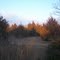 Red Cedar sunset in Shawnee, Oklahoma
