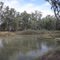 Morning on the Edward River