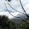 Boree track view