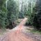 The Basin, Watagans