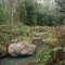 Mogo Creek