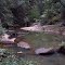 stepping stones in Mogo Creek