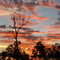 Sun set issac