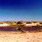 Herrgott spring near Marree