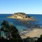 Jimmy's Island