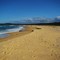 Congo Beach in Eurobodalla National Park