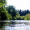Calapooia River, Pioneer Park, Brownsville Oregon