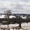 Snowy Mountains