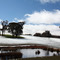 Snowy Dam