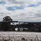 Snowy Hills