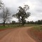 Nundle Forest Way, Just off Topdale Rd - South towards Nundle