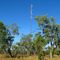 Transmission mast a few km east of Mt. Surprise