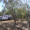 Camping at Broadwater, Muttaburra