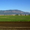 On the way to Elgin