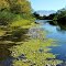 Low water