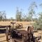 Mount Dare, Outback SA - Simpson Desert