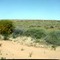 Birdsville Track near Mulka