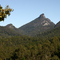 Mt Warning from Mavis's extension