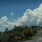 On the road, near Murwillumbah, north NSW