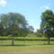 Madura  Tea Estates;