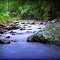 Currumbin Creek, Mt Cougal