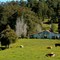 Yarramalong valley