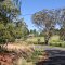 cnr. Greta, Bumble Hill, and Forest roads......a pleasant road slog.