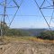 power line service trail, north towards Mt Warrawolong.