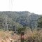 GNW trail...... http://www.wildwalks.com