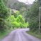 Spring Yarramalong Rd.