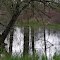 Seasonal pond and spring rain, Smith and Bybee Wetlands