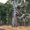 Grampians Road - The Grampians Nat Park