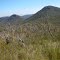 heading down towards jimmy creek on the major mitchell plateau track