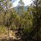 heading down towards jimmy creek on the major mitchell plateau track