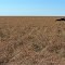 Left behind on the Tableland Hwy South of Cape Crawford, NT, Australia