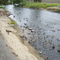 Look at the birds!