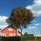 Nice sunny day - blue skies