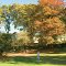 Corban College