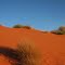 Merty Merty Dune