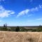 Hilltop near Narranderra