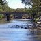Bridge over the Murrumbidgee River.Narrandera.NSW