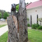 Nannup WA, Woodcraft