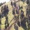 hillclimb nannup