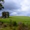 Farm Scene