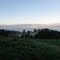 Misty morn.