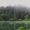 Sain Creek Cove at Hagg Lake
