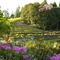 Elk Cove Vinyard flowerbeds