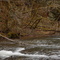 Stream at Hagg Lake by Chris Yoder 02-08-09