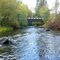 Upper Tualatin River near Cherry Grove, OR