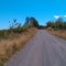 Mt. Richmond Road